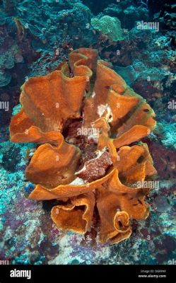   Elephant Ear Sponge:  A Master of Camouflage Hiding Amongst Colorful Coral Reef Ecosystems!